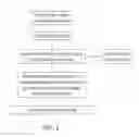 Fig. 02 - FORMULATION AND PROCESS FOR MAKING FERMENTED PROBIOTIC FOOD AND BEVERAGE PRODUCTS