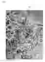 Fig. 06 - ALLERGEN-FREE AND VEGETABLE-BASED FOOD PRODUCTS AND METHODS FOR PRODUCING AND THE SAME