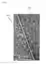 Fig. 18 - ALLERGEN-FREE AND VEGETABLE-BASED FOOD PRODUCTS AND METHODS FOR PRODUCING AND THE SAME