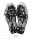 Fig. 18 - Article of footwear with soil-shedding performance