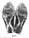Fig. 23 - Article of footwear with soil-shedding performance