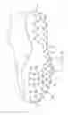 Fig. 03 - Sole system having protruding members