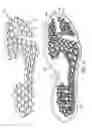 Fig. 05 - Sole system having protruding members