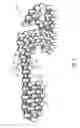 Fig. 06 - Sole system having protruding members