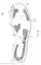 Fig. 16 - Sole system having protruding members