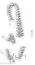 Fig. 19 - Sole system having protruding members