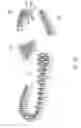Fig. 20 - Sole system having protruding members