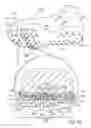 Fig. 31 - Sole system having protruding members