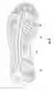 Fig. 11 - Shoe with lattice structure