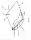 Fig. 22 - Methods, systems, and devices for combination duvet cover and comforter
