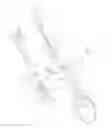 Fig. 04 - Scoop for foodstuff, particularly for ice cream