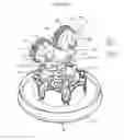 Fig. 15 - Auto-cleansing apparatus