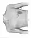 Fig. 02 - Detachable electrocardiography device