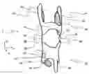 Fig. 01 - GUIDING/SUPPORTING STRUCTURE FOR COUPLING TO A LIVING BEING, AND METHOD FOR DETERMINING SUITABLE CONTACT SURFACES ON THE LIVING BEING