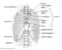 Fig. 01 - POSITIONING A MEDICAL DEVICE BASED ON OXYGEN SATURATION MEASUREMENTS