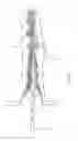 Fig. 07 - DEVICES, SYSTEMS, AND HYBRID METHODS FOR ATRIAL APPENDAGE OCCLUSION USING LIGHT CURE