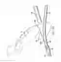 Fig. 28 - Articulating suturing device and method