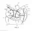 Fig. 05 - Methods of treating a cardiac arrhythmia by thoracoscopic production of a cox maze III lesion set