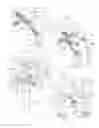 Fig. 03 - Retracting tissue