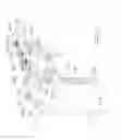 Fig. 11 - Retracting tissue