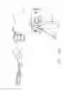 Fig. 135 - Drive train control arrangements for modular surgical instruments