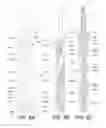 Fig. 19 - Precessional-motion bone and dental drilling tools and bone harvesting apparatus