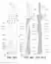 Fig. 21 - Precessional-motion bone and dental drilling tools and bone harvesting apparatus