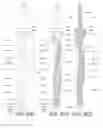 Fig. 22 - Precessional-motion bone and dental drilling tools and bone harvesting apparatus