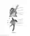 Fig. 03 - SHOULDER GUIDES