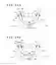 Fig. 25 - LIVING BODY INSERTION TOOL AND SUCTION METHOD