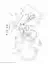 Fig. 26 - LIVING BODY INSERTION TOOL AND SUCTION METHOD