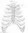 Fig. 01 - System for longitudinal closure of dissected sternums