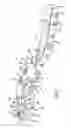 Fig. 04 - Bone plate for plate osteosynthesis and method for use thereof