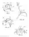 Fig. 02 - Stereotactic access devices and methods