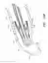 Fig. 33 - Body-inserted tube cleaning