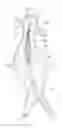Fig. 01 - Devices, systems, and methods for prosthesis delivery and implantation, including the use of a fastener tool
