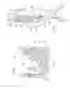 Fig. 37 - Devices, systems, and methods for prosthesis delivery and implantation, including the use of a fastener tool