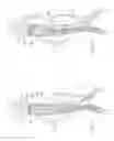 Fig. 40 - Devices, systems, and methods for prosthesis delivery and implantation, including the use of a fastener tool