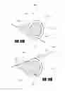 Fig. 53 - Aortic embolic protection device