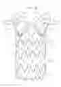 Fig. 02 - ASCENDING AORTA STENT-GRAFT SYSTEM