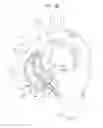 Fig. 18 - ASCENDING AORTA STENT-GRAFT SYSTEM