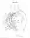 Fig. 20 - ASCENDING AORTA STENT-GRAFT SYSTEM