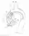 Fig. 24 - ASCENDING AORTA STENT-GRAFT SYSTEM