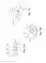 Fig. 14 - Endoprosthesis assemblies and methods to use the same