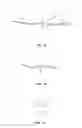 Fig. 02 - VISION CORRECTION SYSTEM