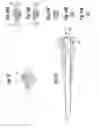 Fig. 05 - Back loaded IOL insertion cartridge