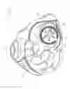 Fig. 08 - Heart valve prosthesis