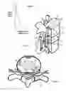 Fig. 03 - Method for relieving back/neck pain and repairing intervertebral disc