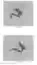 Fig. 34 - INTRALUMINAL IMPLANTS AND METHODS