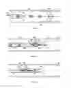 Fig. 07 - Methods and apparatus for luminal stenting
